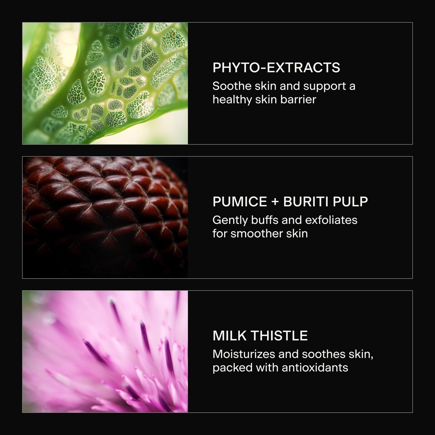 The Body Bar 3-Pack