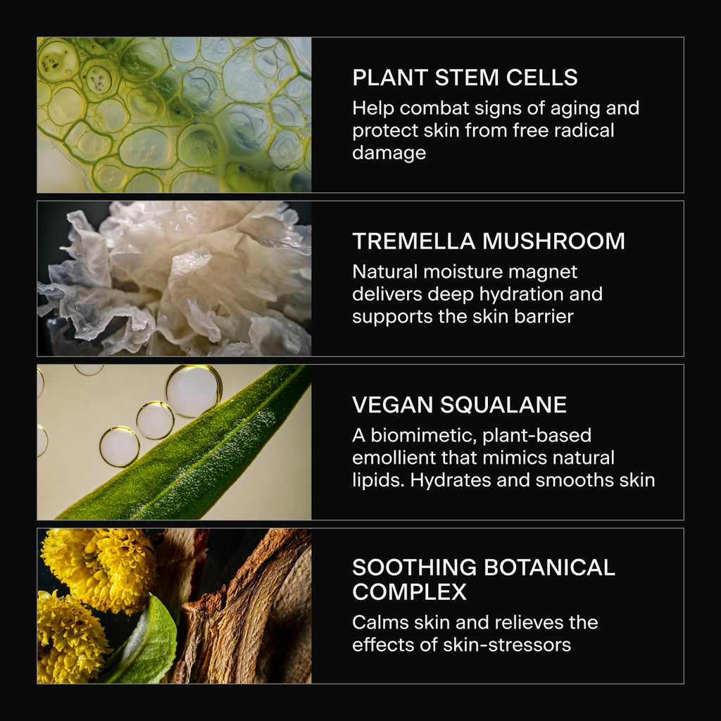 Skincare ingredients with images and descriptions on a black background