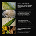 Skincare ingredients with images and descriptions on a black background