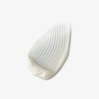 The Base Layer