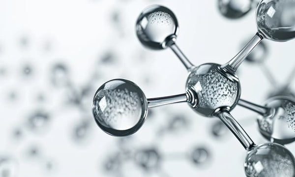 Amino Acids