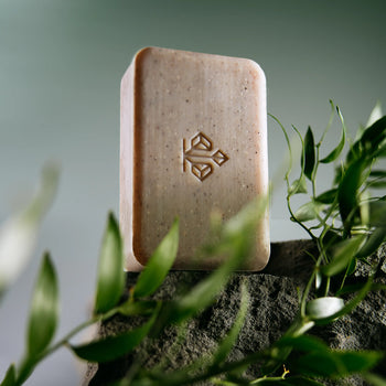 The Body Bar sitting on a rock. Greenery partially covering the rock and product