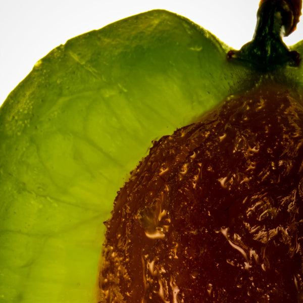 Kakadu Plum