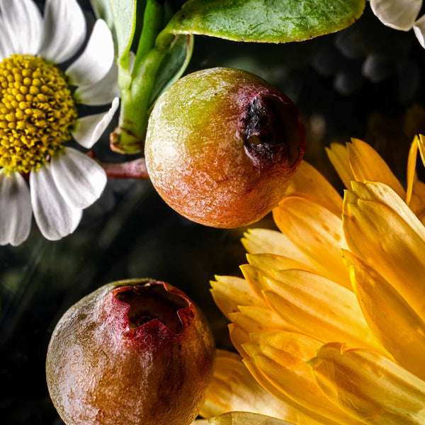 PhytoRecovery Complex