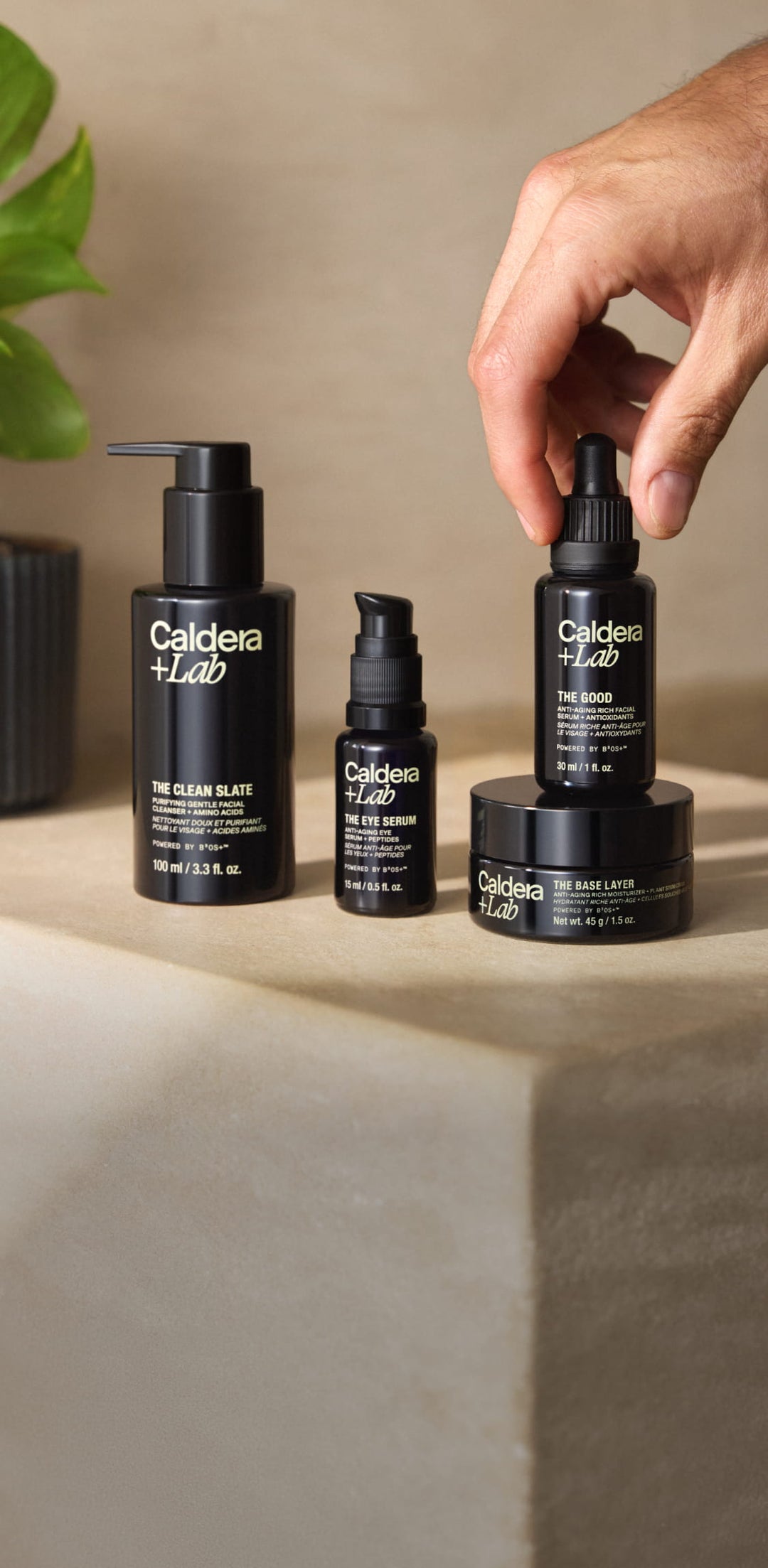 Four black Caldera + Lab skincare bottles and jars arranged on a beige stone surface, with a hand reaching toward the rightmost dropper bottle. A potted green plant is visible in the background.