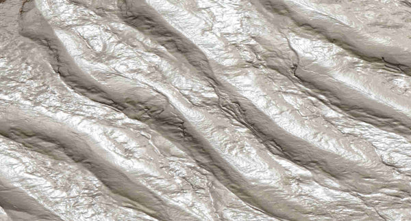 Sea Silt Extract