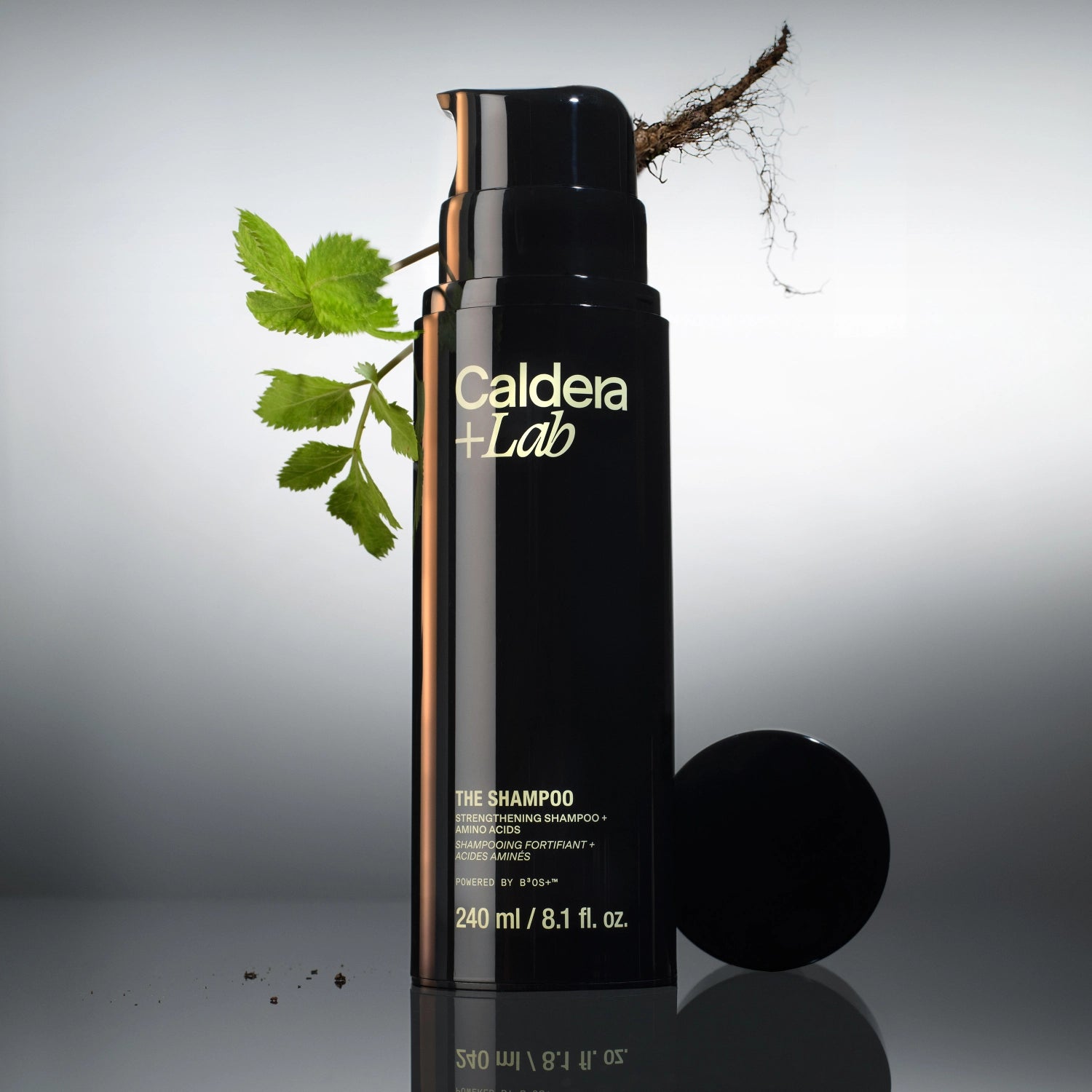 The Shampoo