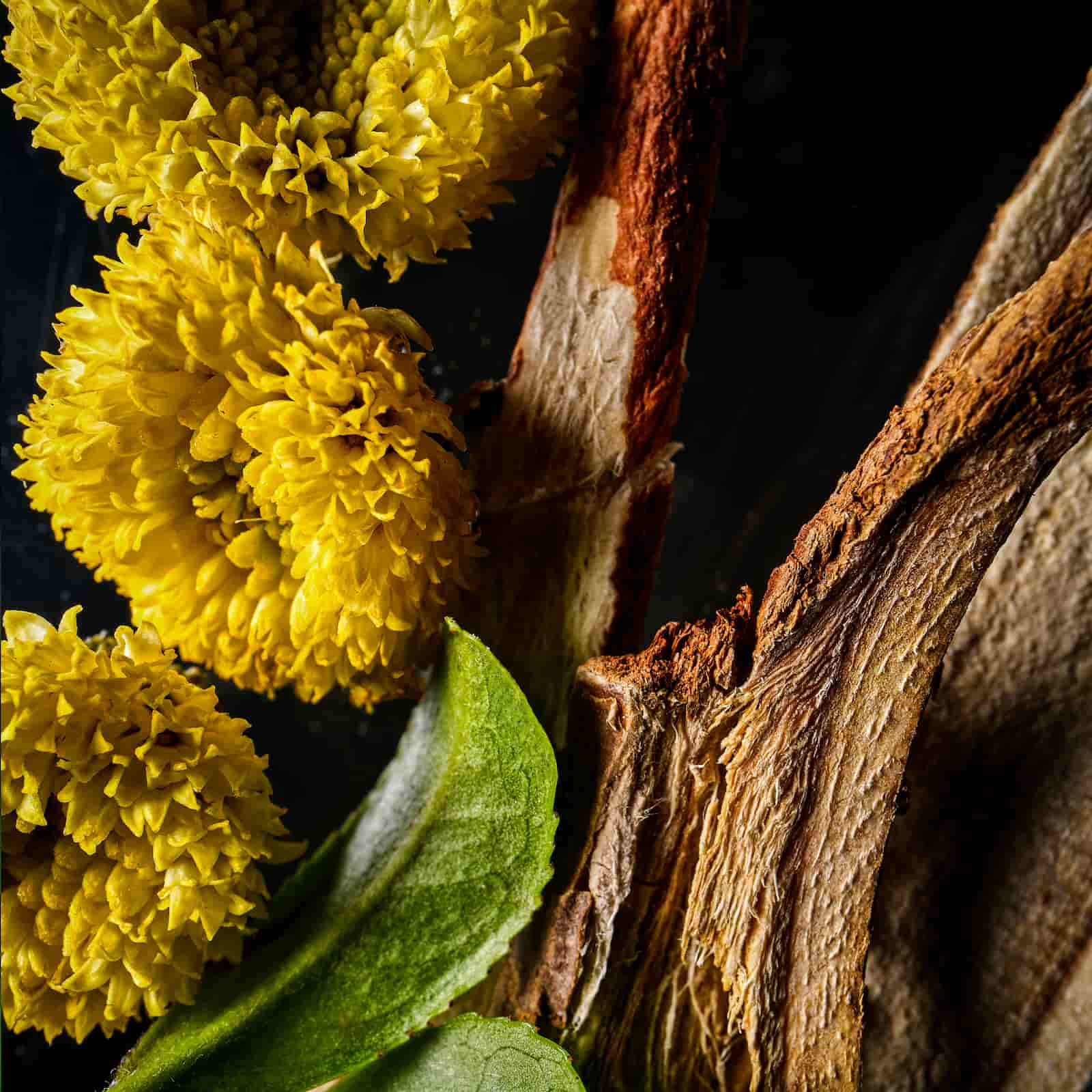 Soothing Botanical Complex