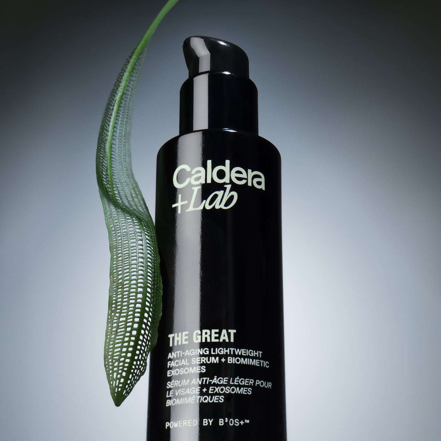 The Great Ingredient 8 02
