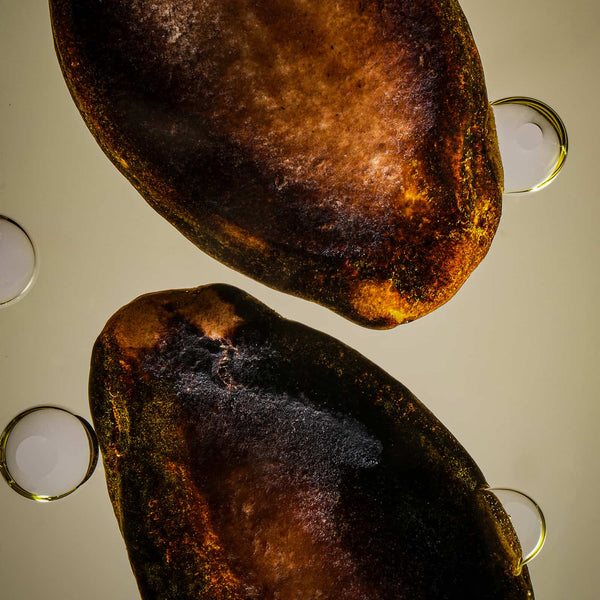 Watermelon Seed Oil
